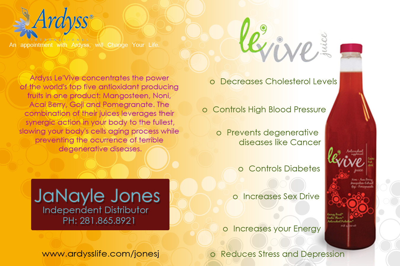 Ardysslife Flyer